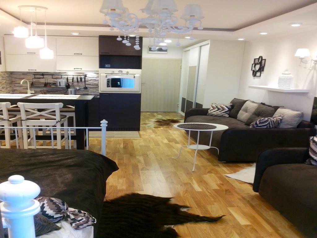 Visnja Apartment 科帕奥尼克 客房 照片