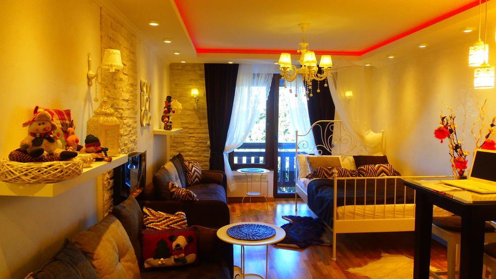 Visnja Apartment 科帕奥尼克 外观 照片