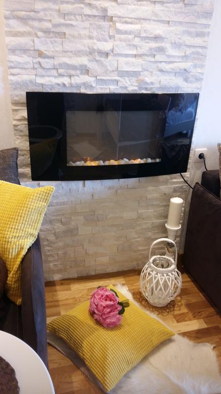 Visnja Apartment 科帕奥尼克 外观 照片